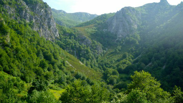 Ruta del Tabayón del Mongayu (PR-AS 60)