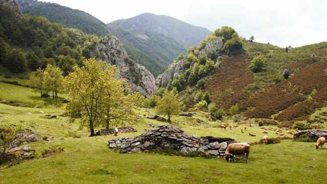 Majada de Melordaña